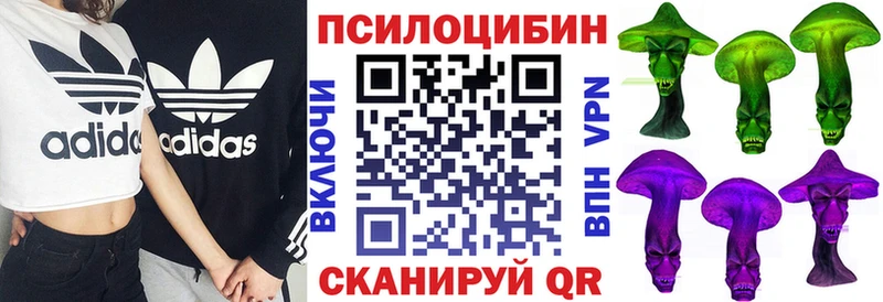 Псилоцибиновые грибы Magic Shrooms  Купить закладки  Ивантеевка 